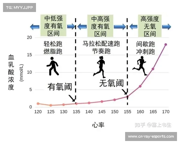 全国竞走锦标赛冠军选手步频分析 每分钟185步技术特点与训练要点